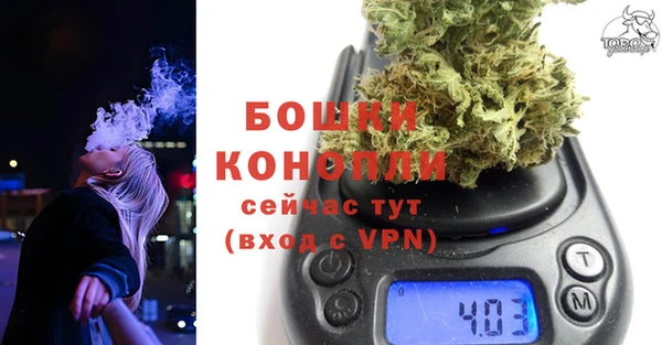 молекула духа Горнозаводск