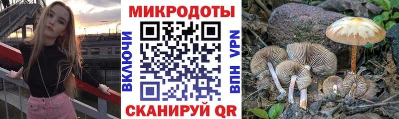 omg tor  наркотики  Чердынь  Псилоцибиновые грибы Psilocybe 